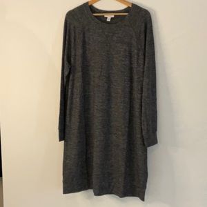 Daily Ritual XL raglan long sleeved dress. Super soft. NWT.  Heather grey